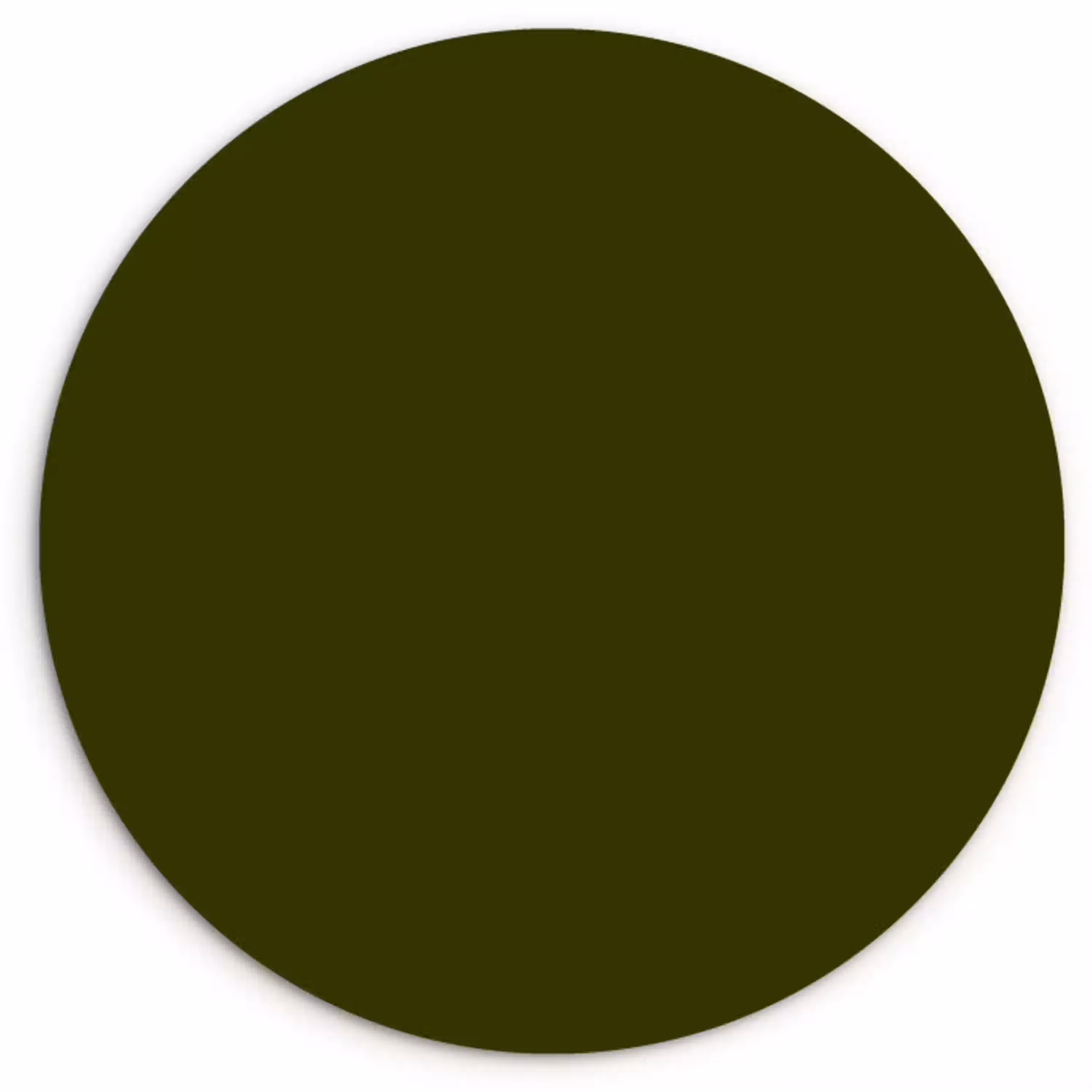 Dark  - Olive - Groen Wandcirkel kunststof plaat 5mm dik klein 188 -3d
