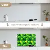 Limoen - Groen - Water keuken achterwand spatscherm klein 900 -voor_na_NL