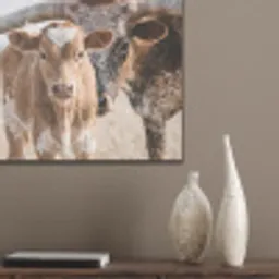 Texas Longhorn - Kalf - Weide - Dieren PET vilt klein -sfeer6_closeup