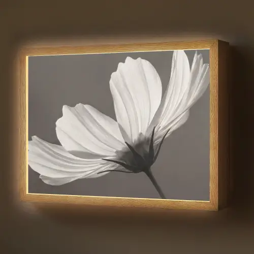 Bloem - Minimalistisch - Zwart - Wit Light Box met batterij (Wandlamp) middel -z3d_website