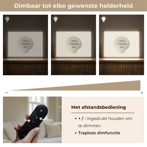 Schelp - Quote - Groen Light Box met batterij (Wandlamp) middel -USP_dimbaarNL