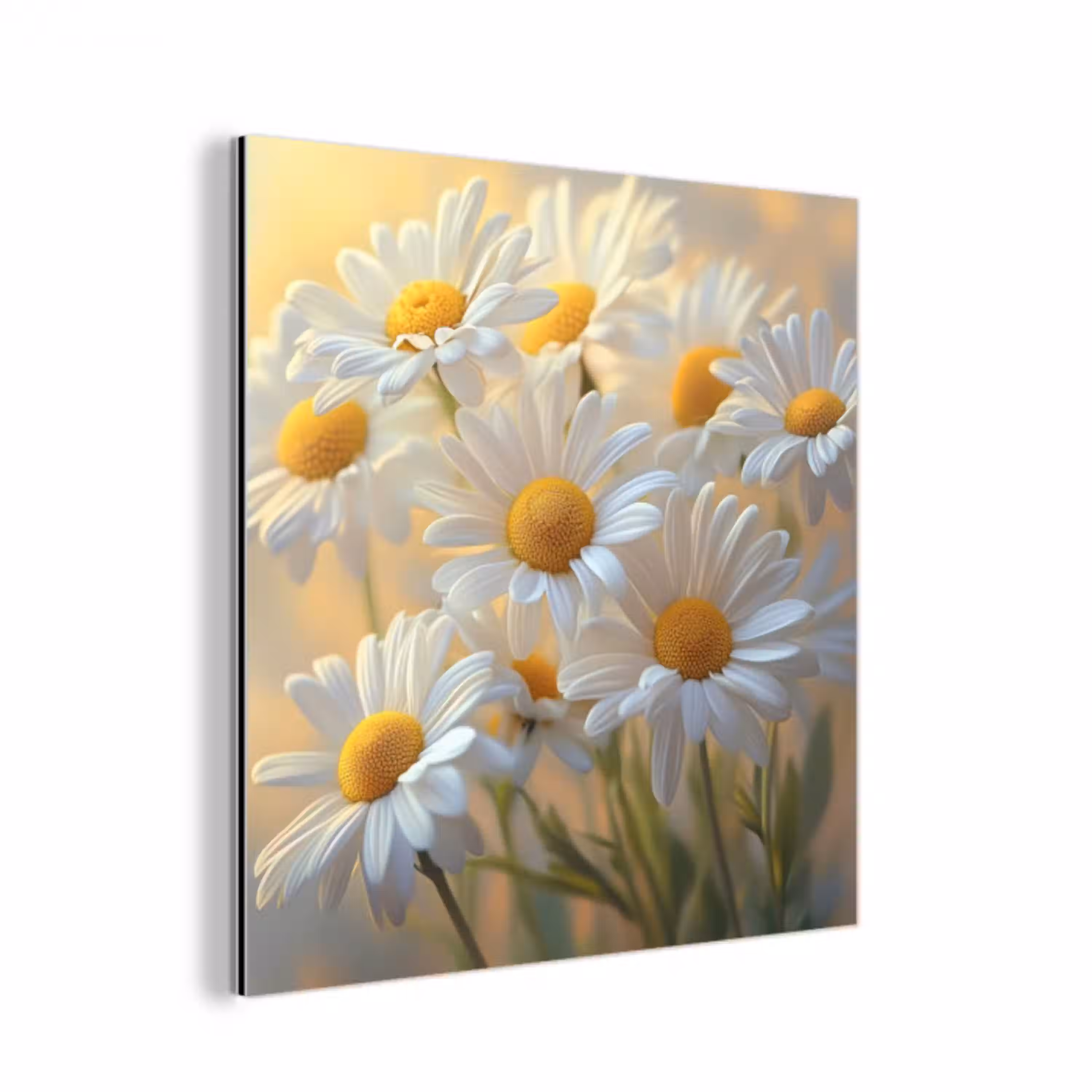 Madeliefjes - Wit - Zonlicht aluminium wit klein -3d