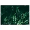 Bladeren - Jungle - Natuur - Tropisch - Planten poster papier klein -3d