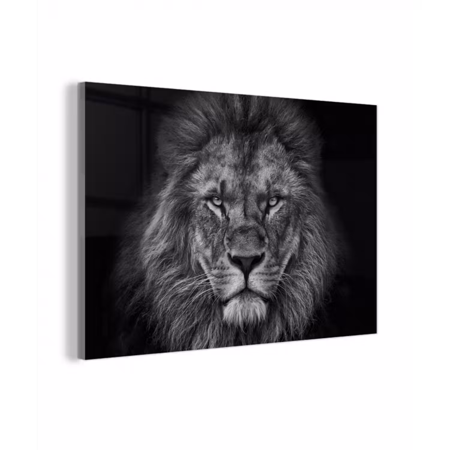 Glasbild - Löwe - Tiere - Schwarz - Weiß