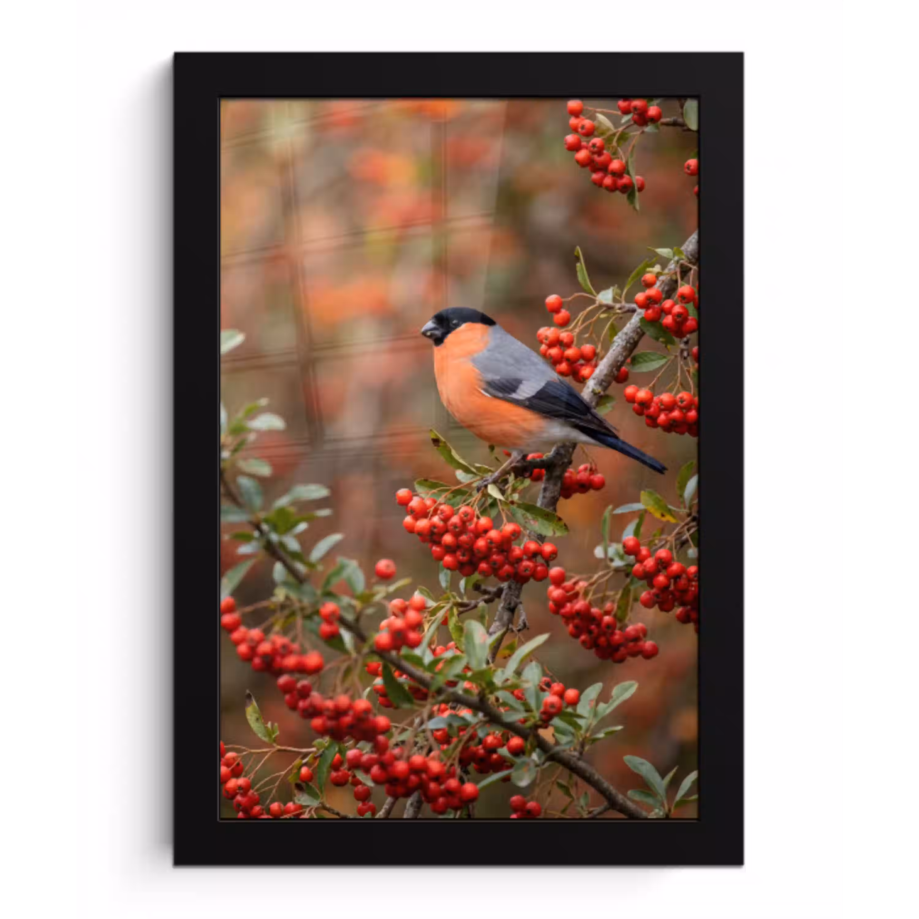 Goudvink - Bessen - Herfst - Natuur - Kleurrijk fotolijst zwart zonder passe partout klein -3d