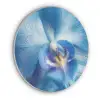 Blauw - Orchidee - Elegeant Akoestische PET Vilt - Rond klein -3d
