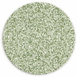 Botanisch - Takken - Groen Wandcirkel kunststof plaat 5mm dik klein 188 -3d