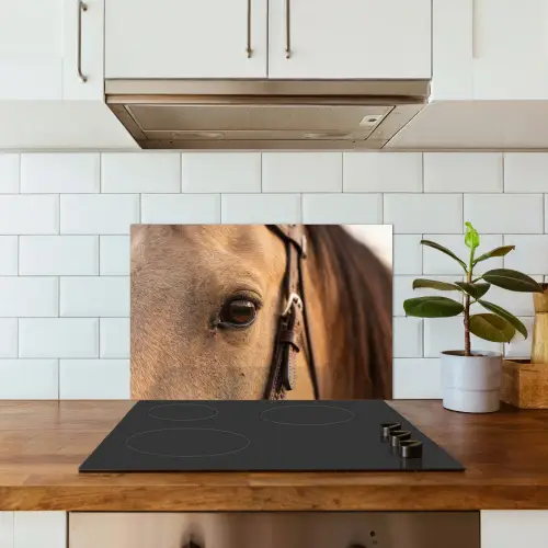 Paard - Oog - Bruin keuken achterwand spatscherm klein -sfeer2