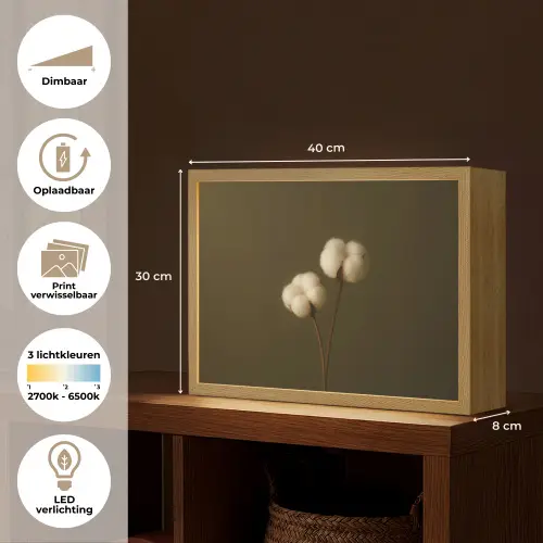 Takken - Katoen - Wit - Bollen Light Box met batterij (Wandlamp) middel -USP_websiteoverzichtNL