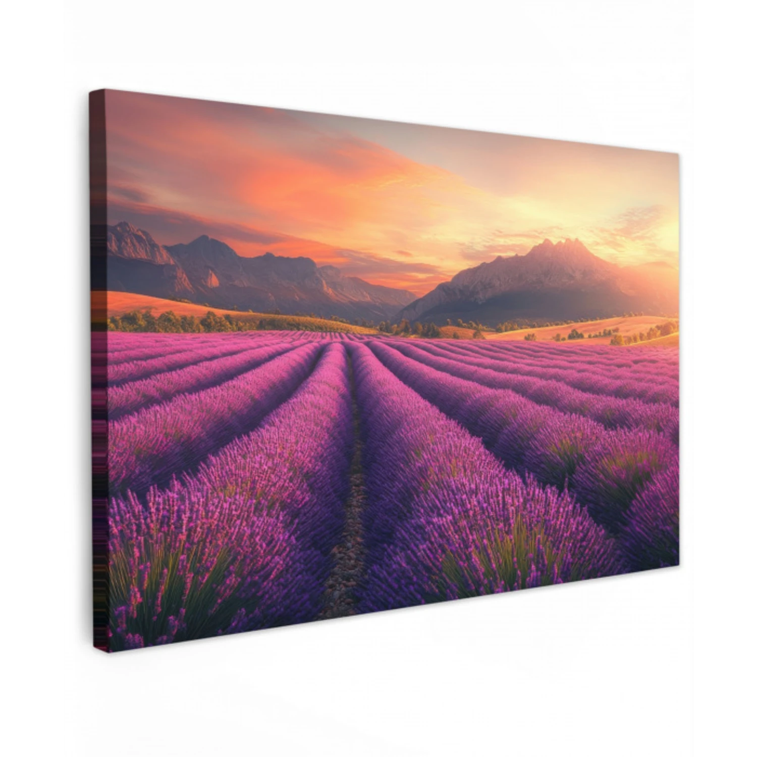 Lavendelveld - Zonsondergang - Paars Tuinposter op houten frame 2 cm dik klein -3d