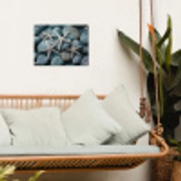 Zeesterren - Stenen - Wit tuinposter los doek klein -sfeer7