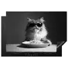 Langharige kat - Zonnebril - Spaghetti - Humor - Zwart - wit Inductie beschermer vinyl 3mm klein -3d