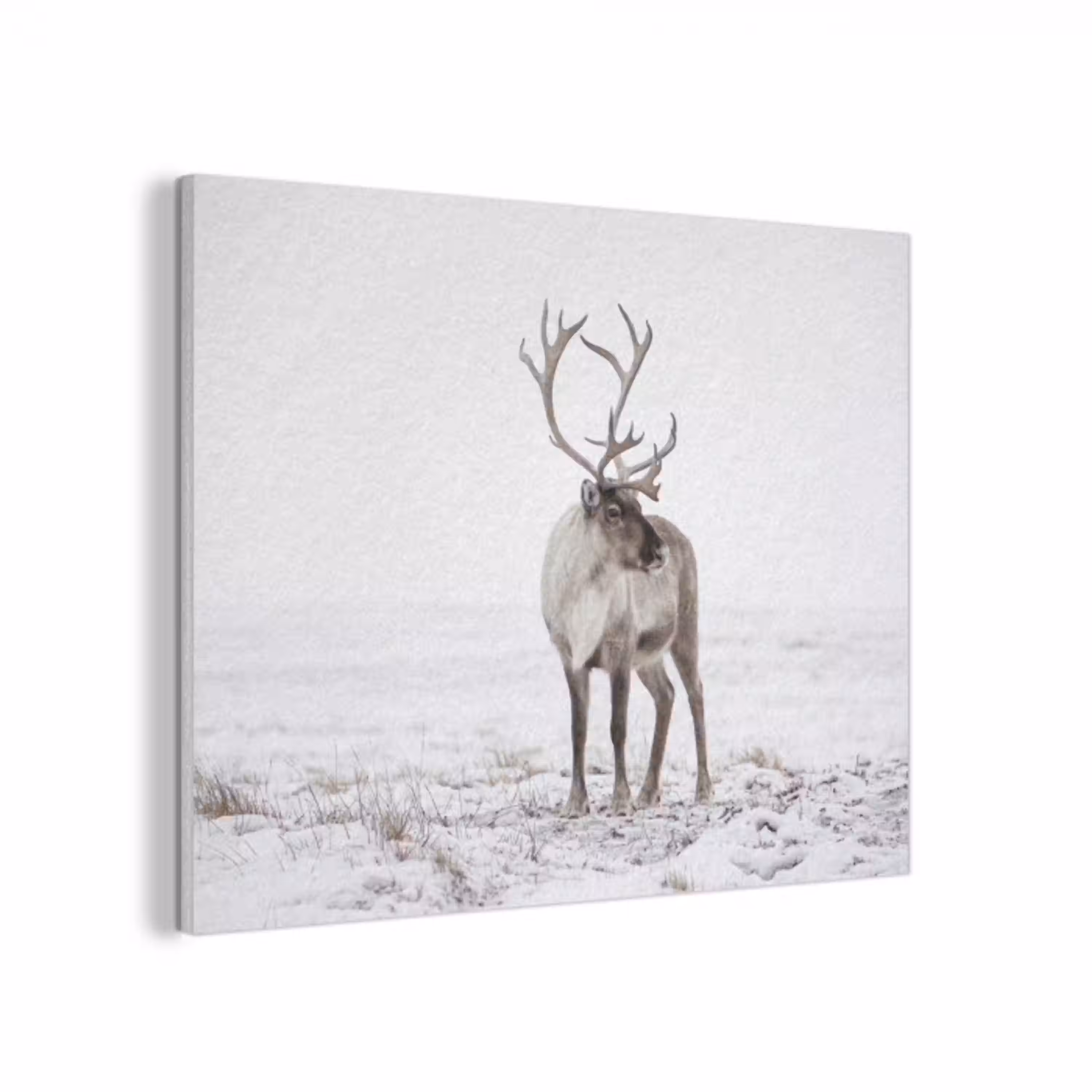 Rendier - Gewei - Sneeuw - Winter PET vilt klein -3d