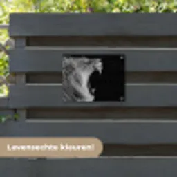 Dieren - Leeuw - Zwart - Wit - Portret tuinposter los doek klein -sfeer3