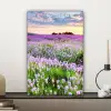 Bloemen - Lavendel - Paars - Lucht - Zonsondergang - Weide - Natuur canvas 2cm klein -sfeer6