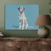 Dalmatiër - Zonnebril - Blauw PET vilt klein -sfeer2