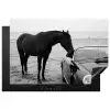 Paard - Auto - Zwart - Wit Inductie beschermer vinyl 3mm klein -3d