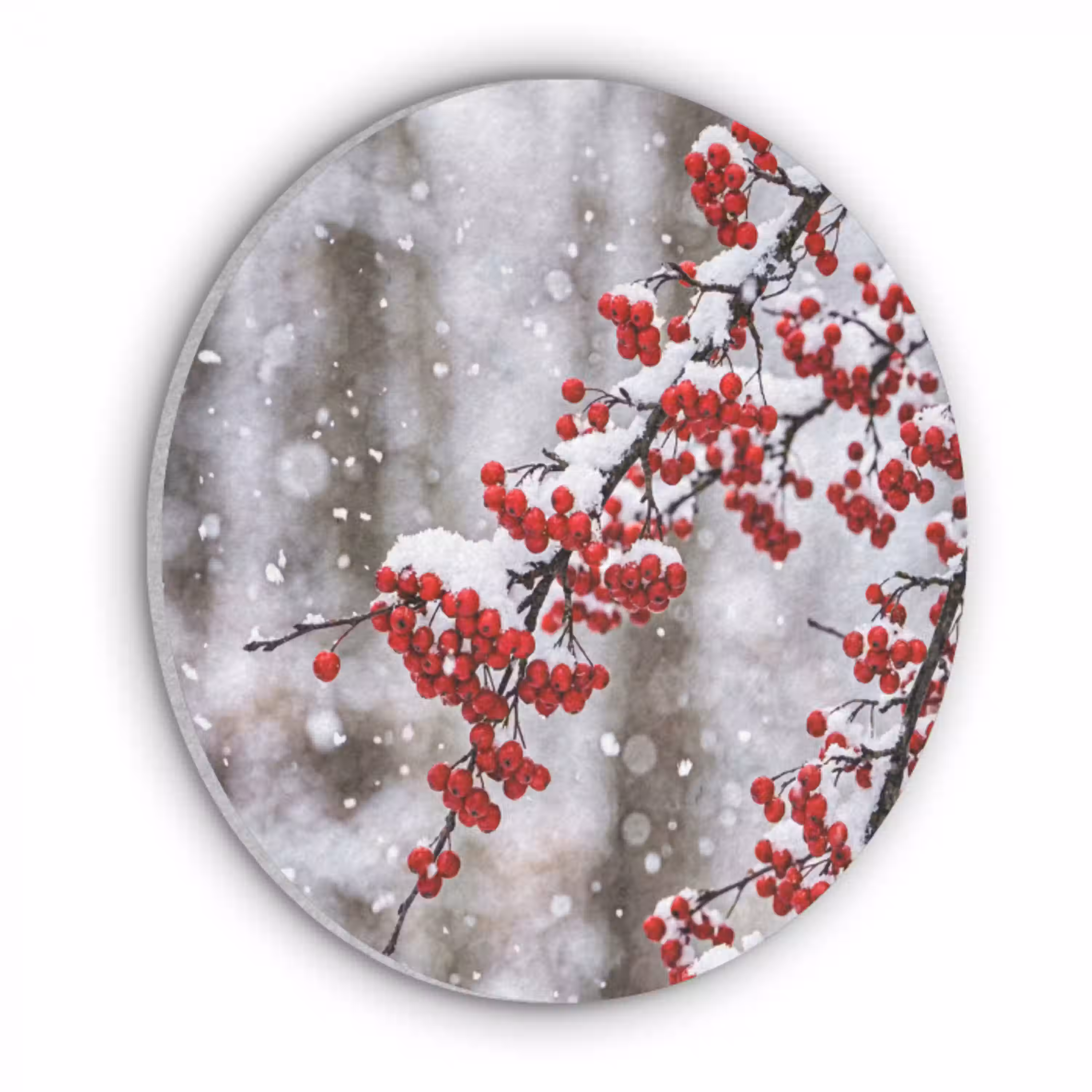 Bessen - Takken - Sneeuw - Winter - Kleurrijk Akoestische PET Vilt - Rond klein -3d