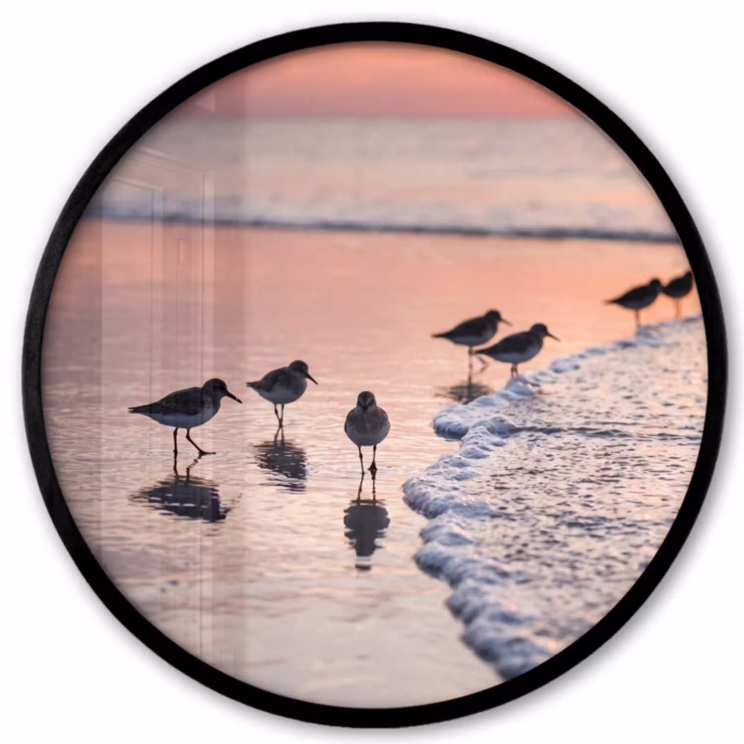 Meeuwen - Strand - Zee - Roze Fotolijst rond zonder passe partout klein -3d