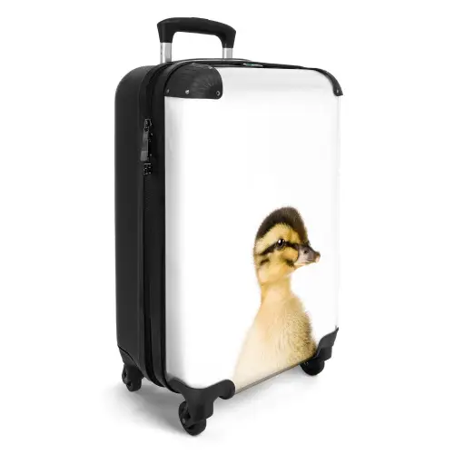 Daisy Duck Koffer - NBS - Handbagage middel -productfoto_3d