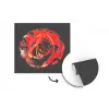 Bloem - Roos - Rood - Zwart fotobehang vinyl groot -3d
