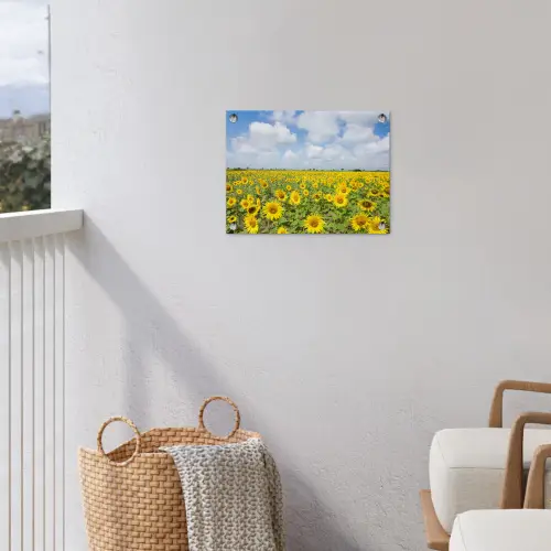 Zonnebloemen - Bloemen - Wolken - Natuur - Geel - Landschap tuinposter los doek klein -sfeer8