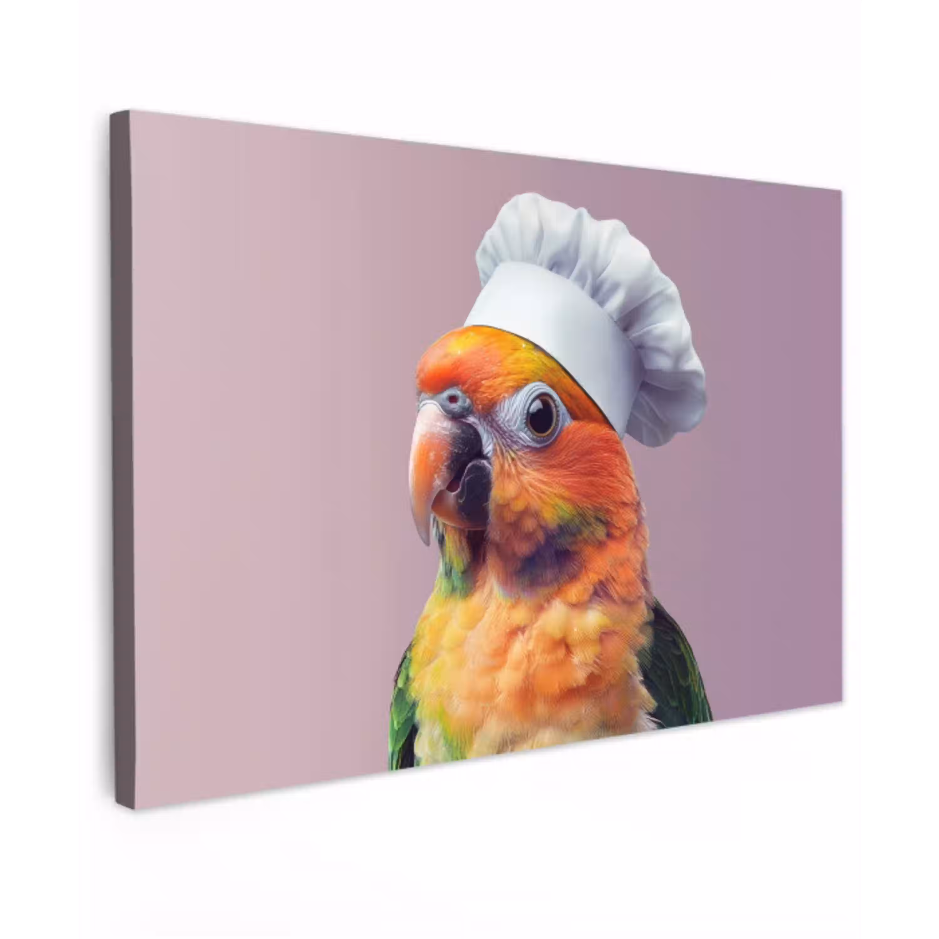 Papegaai - Koksmuts - Nieuwsgierig - Vogel Tuinposter op houten frame 2 cm dik klein -3d