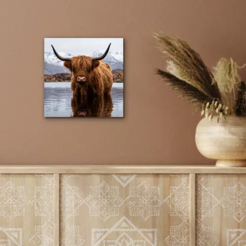 Schotse hooglander - Bruin - Water aluminium wit klein -sfeer4