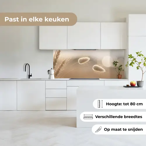 Hazestaartgras - Graanharen - Zonlicht keuken achterwand 2 middel -sfeer4_NL