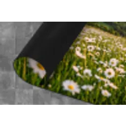 Madelief - Veld - Heuvels - Groen Keukenloper - keukenmat middel -closeup