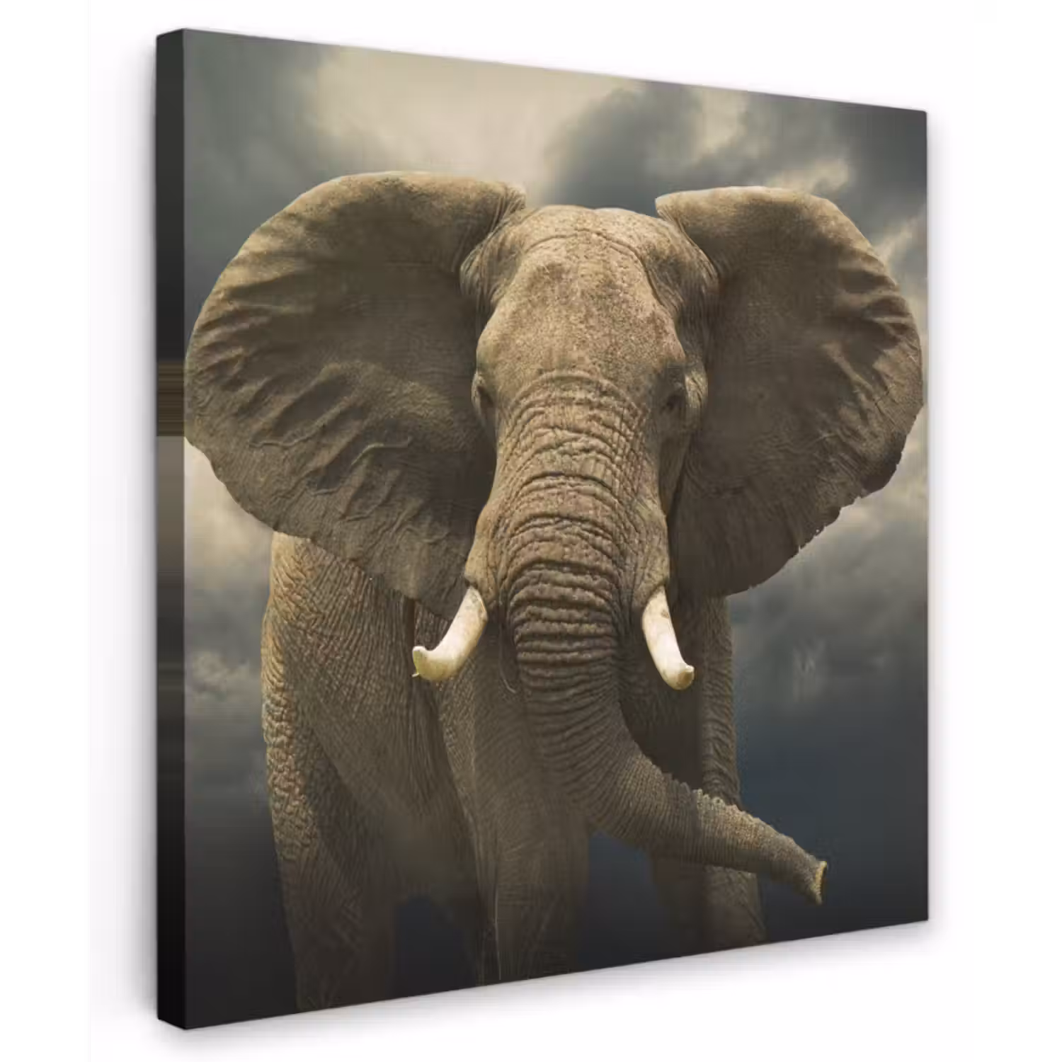 Canvas schilderij - Afrikaanse olifant tegen de donkere wolken