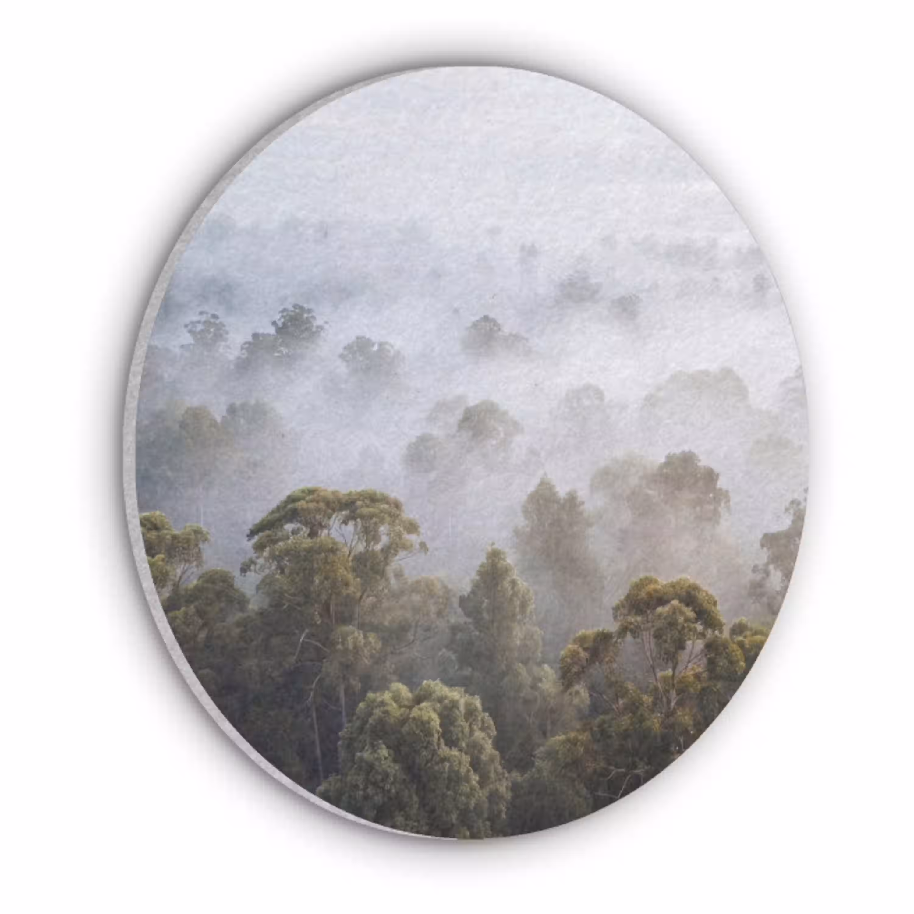 Natuur - Mist - Bos - Ochtend - Goud Akoestische PET Vilt - Rond klein -3d