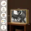 Paard - Sport - Zwart - Wit Light Box met batterij (Wandlamp) middel -USP_websiteoverzichtNL