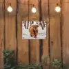 Schotse Hooglander - Sneeuw - Winter - Natuur - Dieren tuinposter los doek klein -sfeer1
