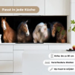 Paard - Dieren - Zwart keuken achterwand 2 middel -sfeer4_DE