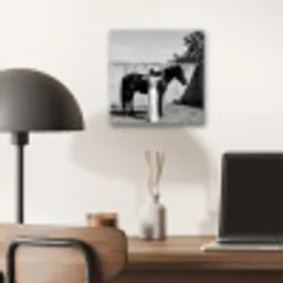 Vrouw - Paard - Artistiek aluminium wit klein -sfeer5
