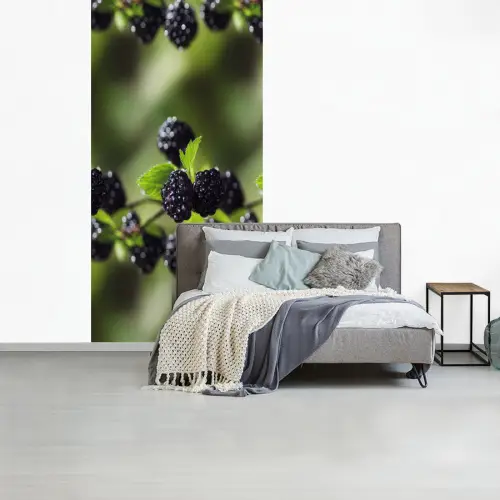 Bramen - Bladeren - Tros fotobehang vinyl groot 64 -slaapkamer