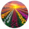 Tulpenveld - Zonsondergang - Kleurrijk Wandcirkel kunststof plaat 5mm dik klein -3d