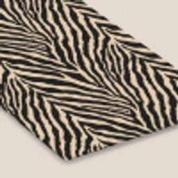 Zebra - Klassiek - Zwart fotolijst zwart zonder passe partout klein 224 -zsfeer6