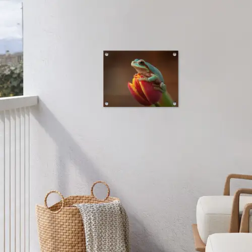 Close-up - Kikker - Tulp - Rood tuinposter los doek klein -sfeer8
