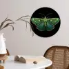 Mot - Levendig - Groen Wandcirkel kunststof plaat 5mm dik klein -sfeer4