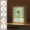 Fee - Groen - Sprookje - Sterren Light Box met kabel klein -USP_NL