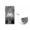 Schotse hooglander - Koe - Zwart - Wit - Dieren fotobehang vinyl groot -3d