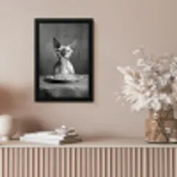 Sphynx - Kat - Dieren - Humor - Spaghetti - Zwart Wit fotolijst zwart zonder passe partout klein -sfeer5