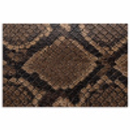 Python - Schubben - Brons poster papier klein -3d
