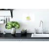 Netzakje - Roze - Illustratie - Limoenen Muursticker klein -keuken