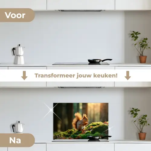Eekhoorn - Nootje - Gras keuken achterwand spatscherm klein -voor_na_NL