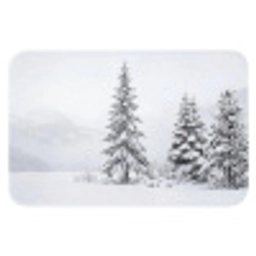 Fijnsparren - Sneeuw - Winter - Landschap - Stilte Badmat klein -3d