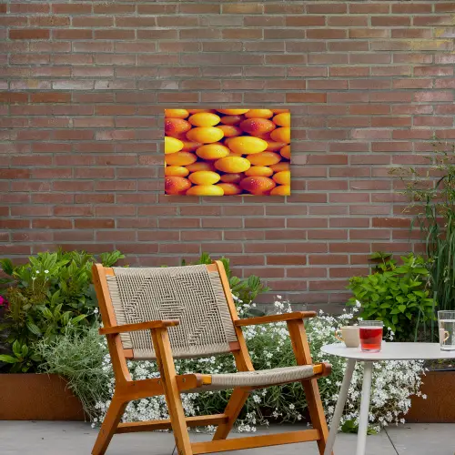 Vrucht - Waterdruppels - Oranje Tuinposter op houten frame 2 cm dik klein 845 -sfeer3