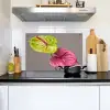 Planten - Anthurium - Groen - Roze Inductie beschemer met haakjes klein -sfeer2